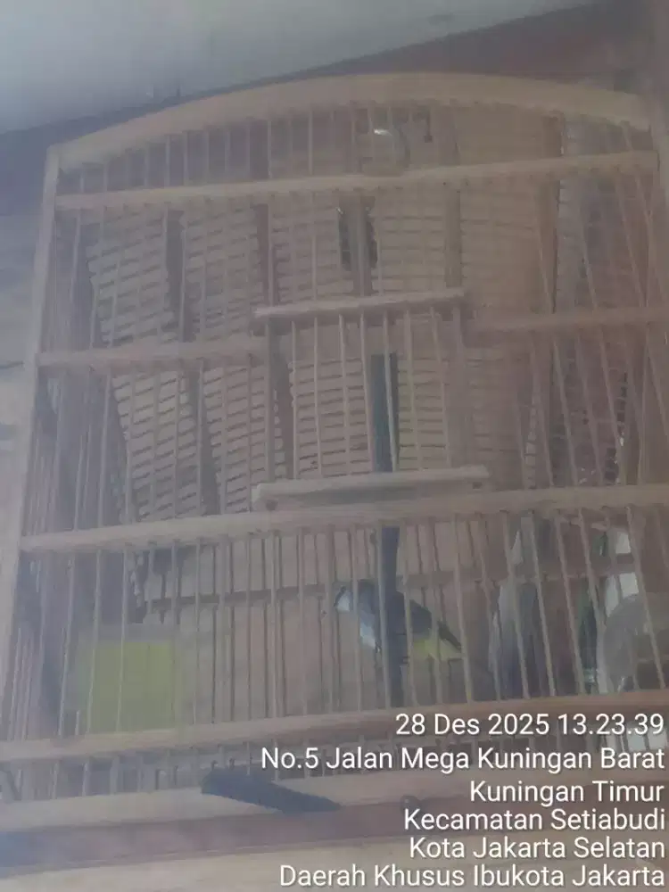 JUAL SANTAI SAMBIL NGOPI