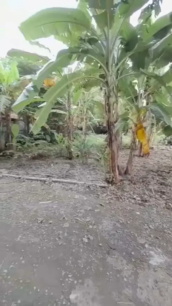 di jual sebidang tanah