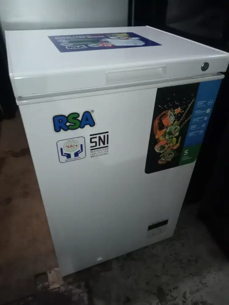 frezer box rsa 100liter