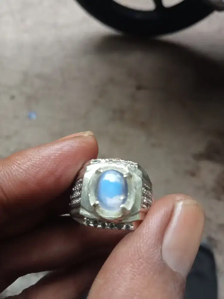 Biduri bulan air laut