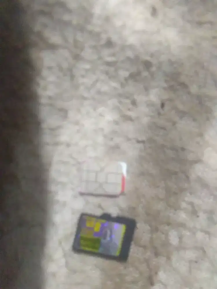 kartu memory dan kartu sim