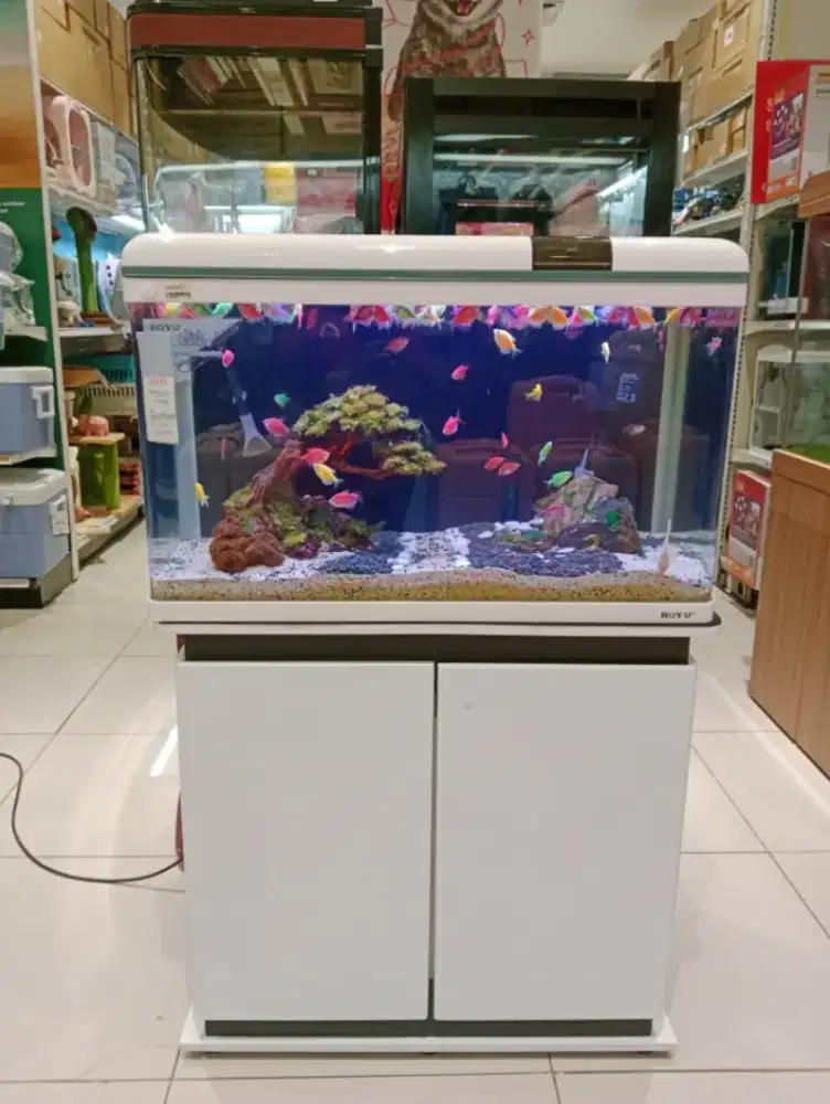 kredit aquarium set kabinet tanpa dp syrt cuma ktp free angsuran 1-2×