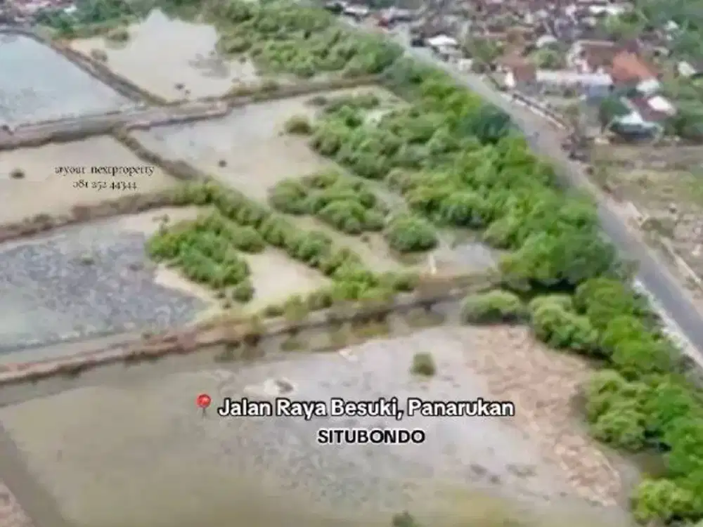 Lahan Plus Tambak Di Jalan Raya Besuki, Panarukan Situbondo
