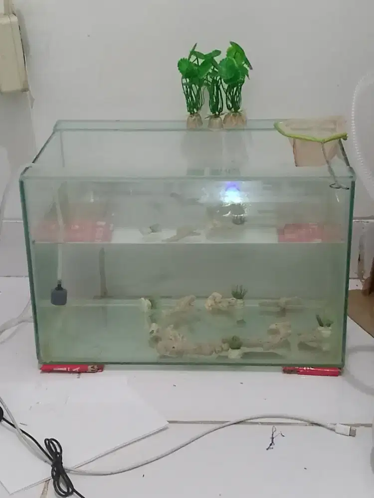 Aquarium kaca 5mili aman
