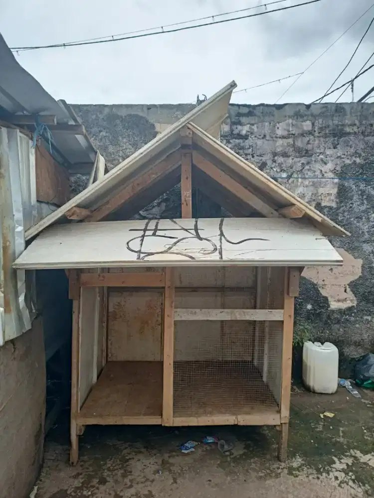 Kandang Ayam dari kayu