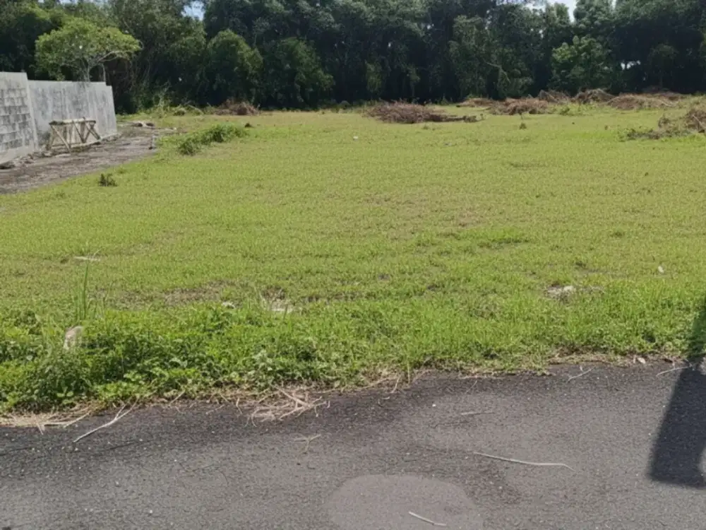 Tanah Strategis Kalasan 50 Meter Jalan Raya View Puncak Merapi