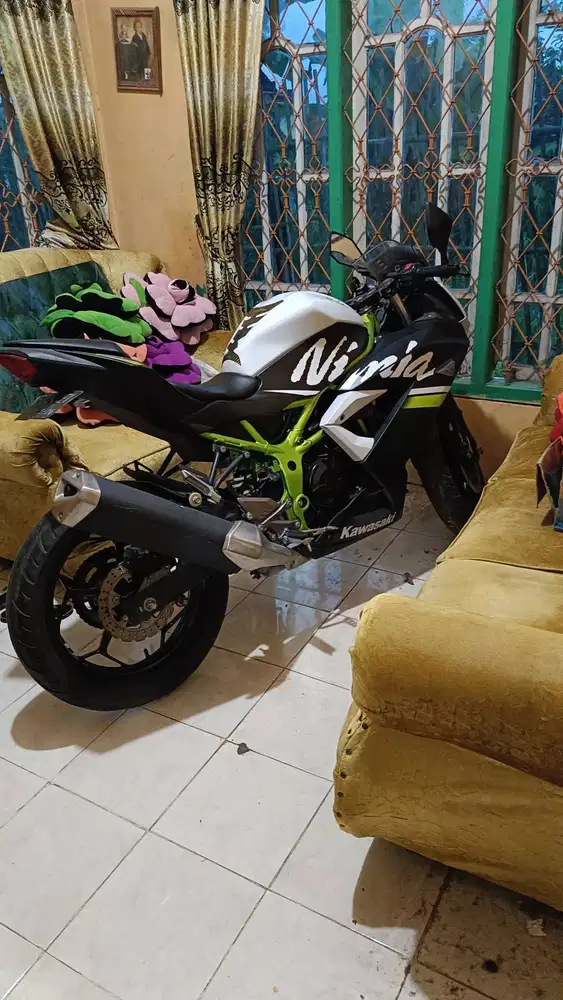 Kawasaki NINJA 250 SL
