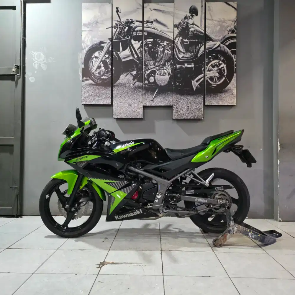 NEW NINJA RR 2014