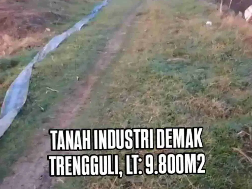 TANAH INDUSTRI DEMAK JATENG, LUAS 9800M2