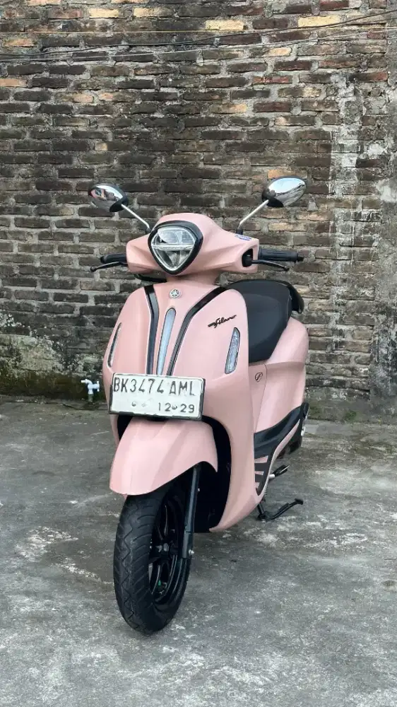 Ne yg mau cari fillano sehat terawat