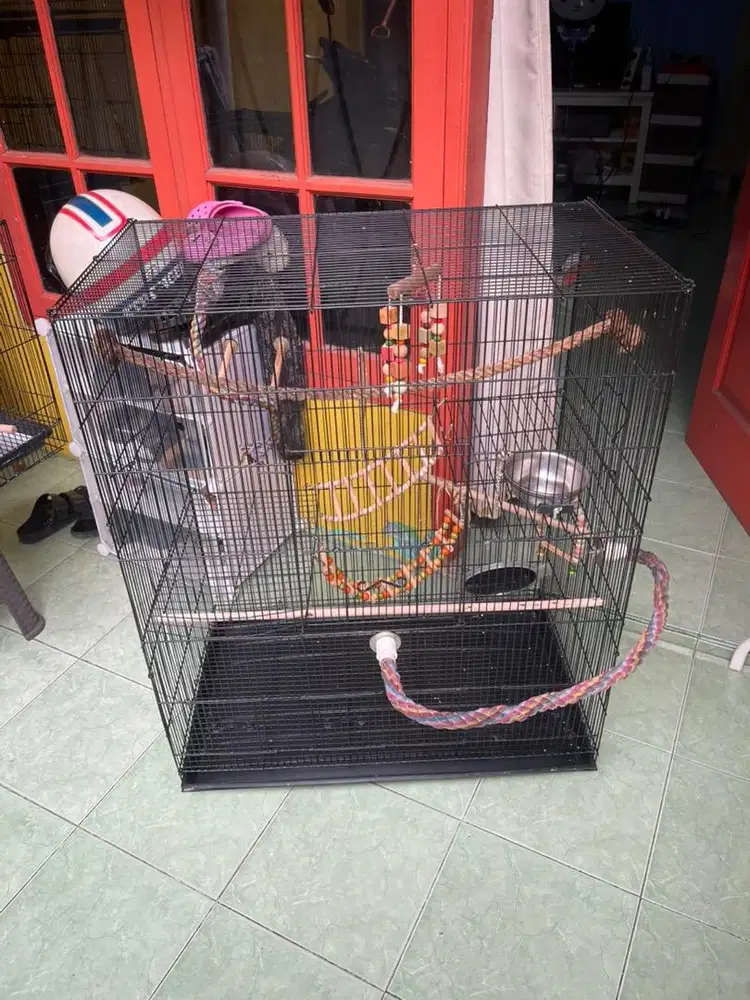 Kandang Besi size besar beserta mainan