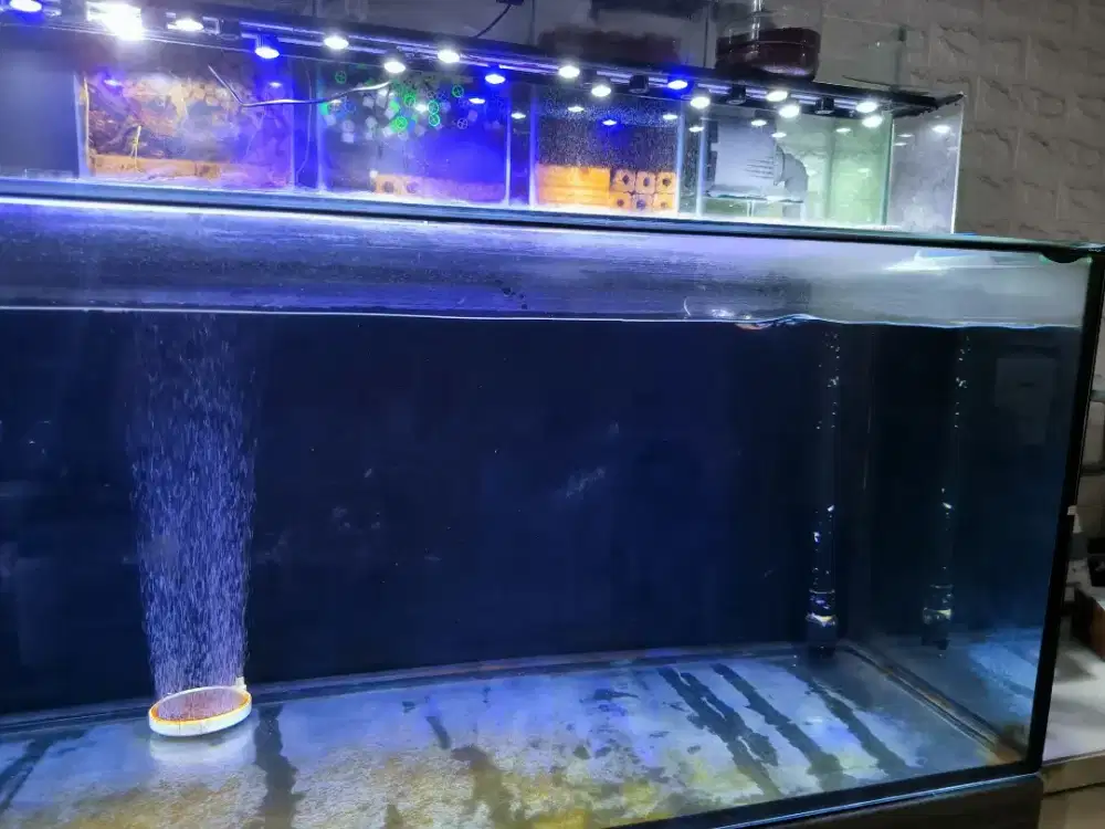Jual Santai Akuarium Size 130 x 55 x 60T