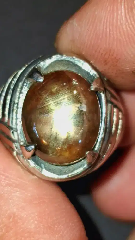 Bangsing Brahma Ster