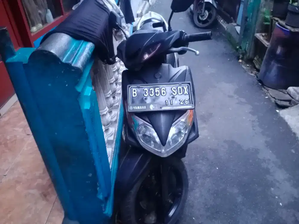Mio Xeon Karbu 2010