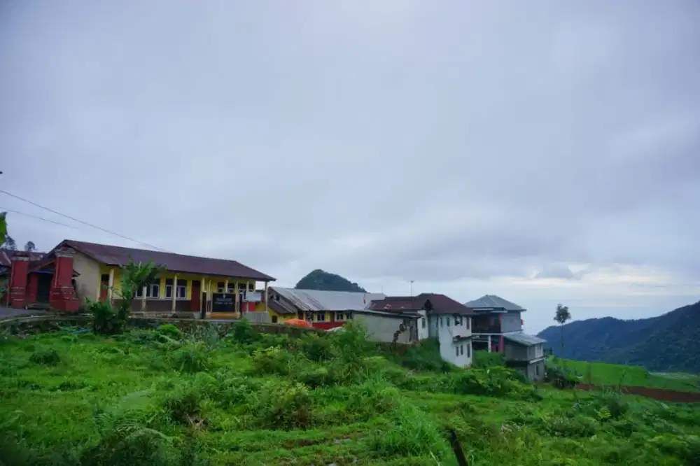 DIBUTUHKAN SEGERA ART MOMONG JAKARTA SELATAN