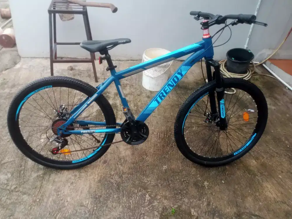 Sepeda mtb 26 trendy 806-1