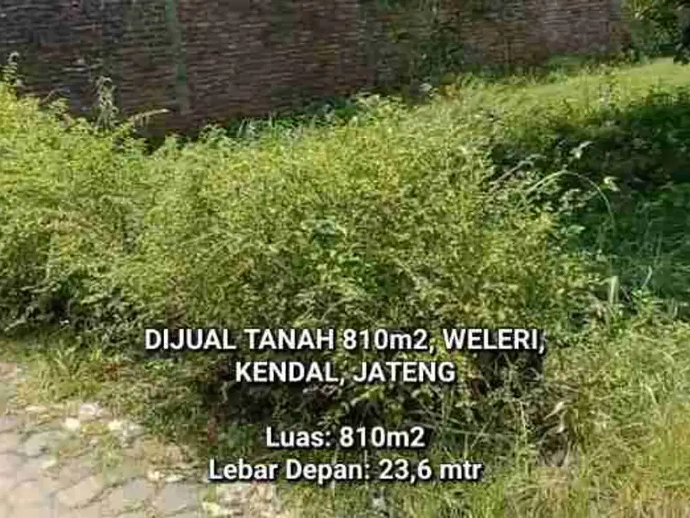 DIJUAL TANAH BONUS RUMAH SEDERHANA, GANG PINGGIR, WELERI, KENDAL