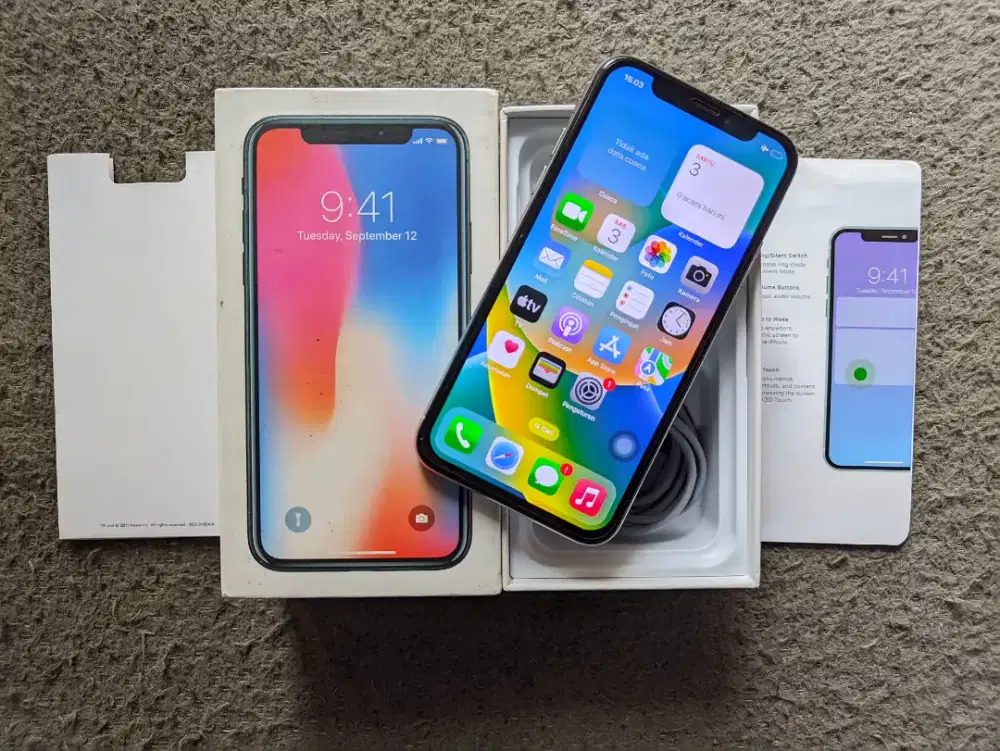 iPhone X 256 GB All operator