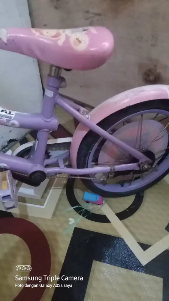 Sepedah anak cewek