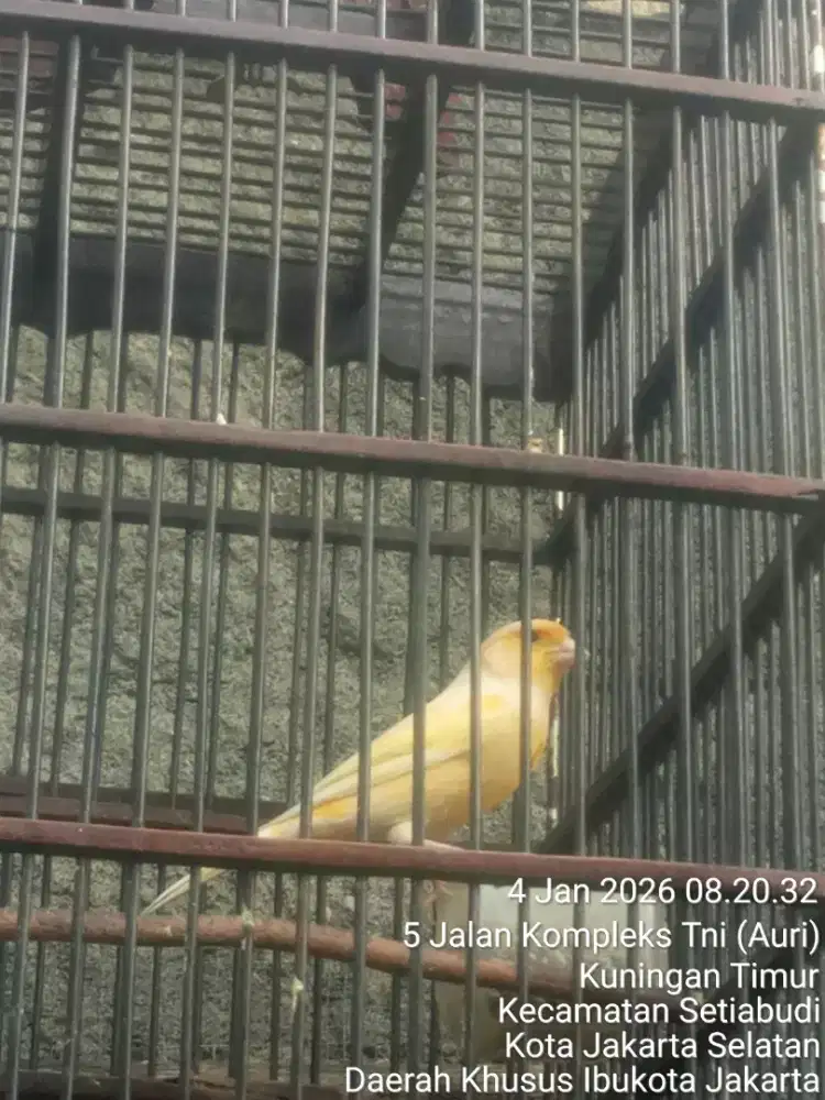 JUAL SANTAI SAMBIL NGOPI