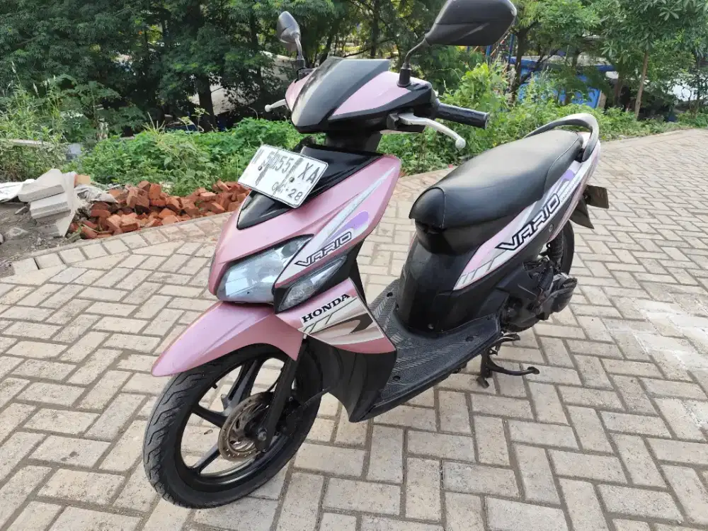 Vario Pink 2008