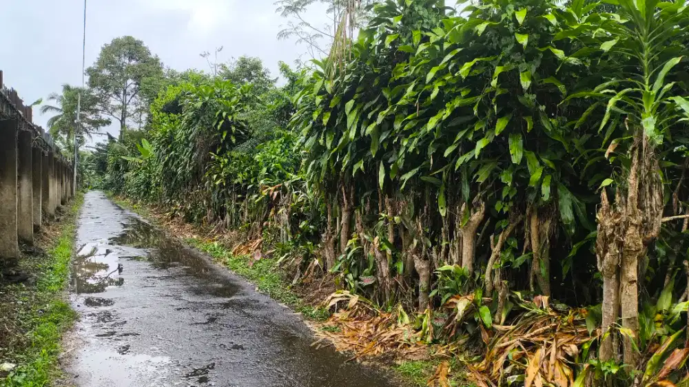 Tanah dijual (1.275 Meter persegi)