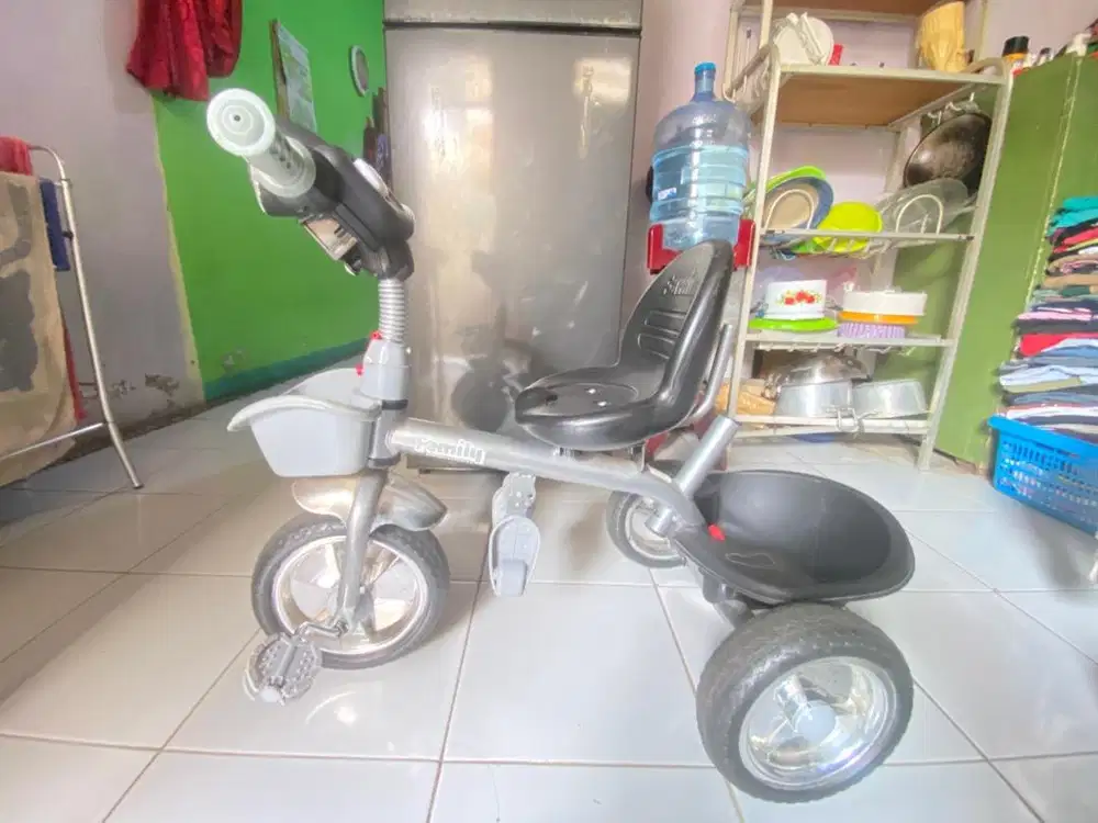 Sepeda anak family