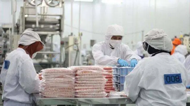 LOWONGAN KERJA – BAGIAN PRODUKSI FROZEN FOOD NON HALAL