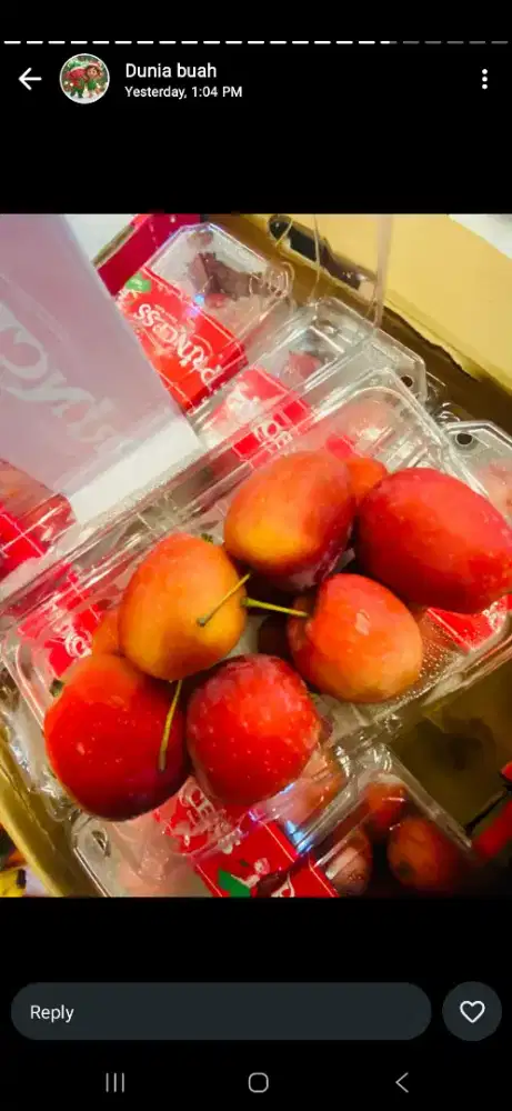 Dicari mba bebersih & penyayang anak