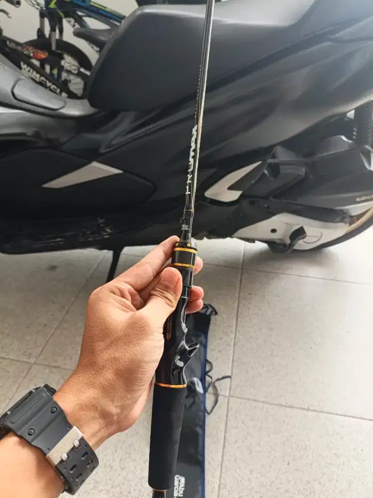 Jorna Abu garcia promax 17lb