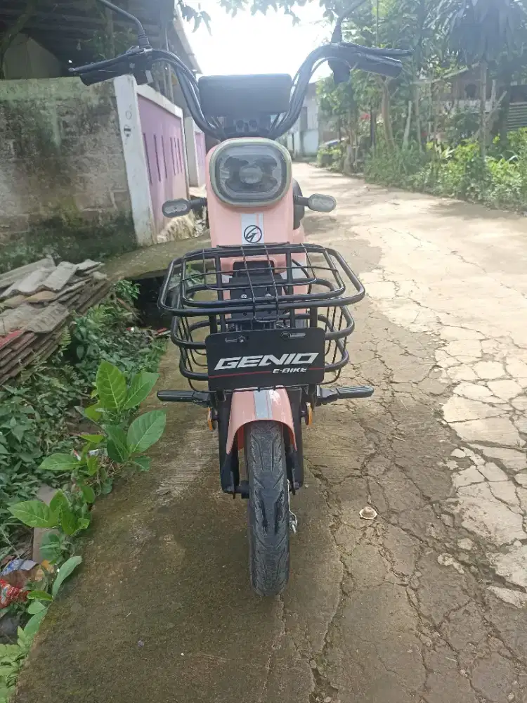 Sepeda listrik genio easton x1