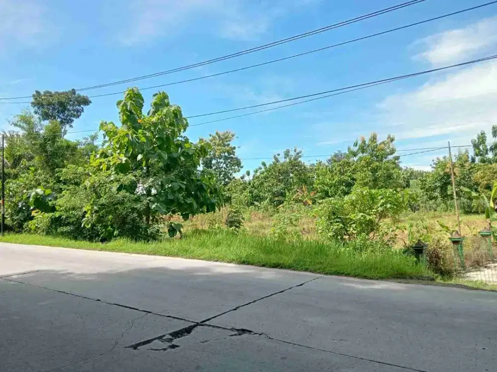 Tanah Murah Zona Merah Akses Kontainer Tepi Jln Besar