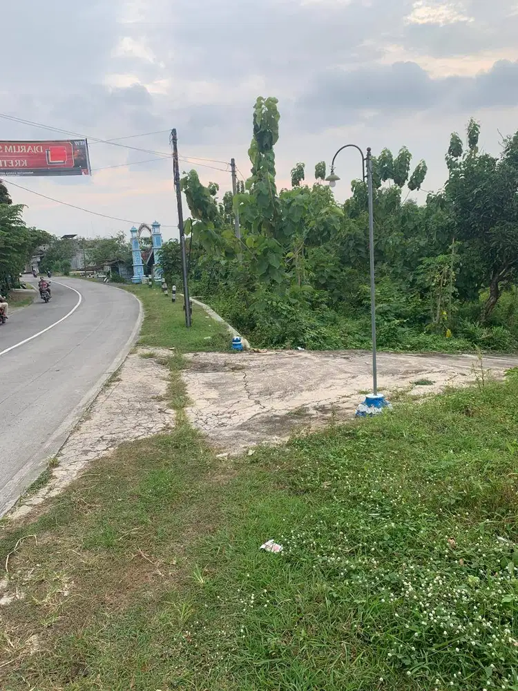 Tanah Kebon Luas 1130 m2