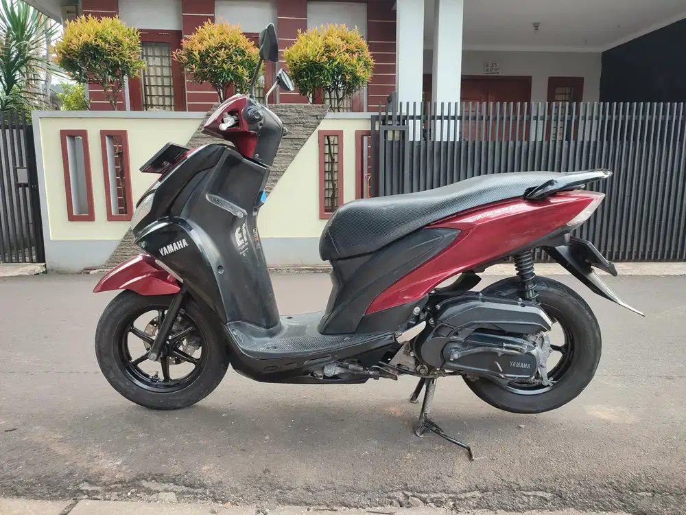 FREEGO TAHUN 2019 MURMER