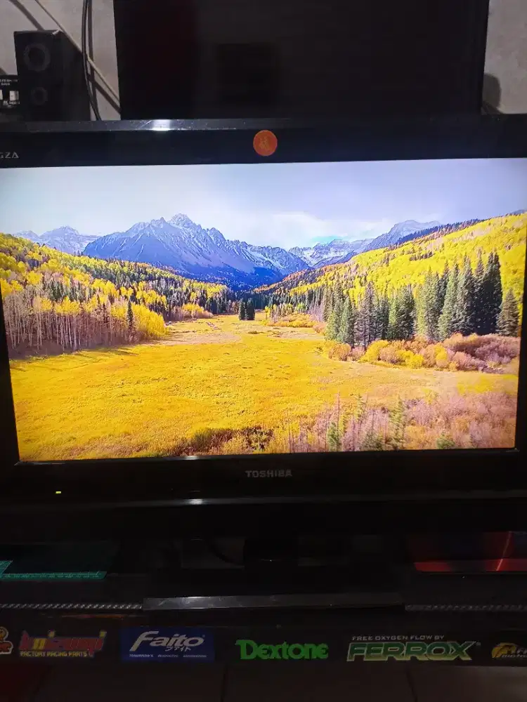 TOSHIBA 24 INCH 24PB1E Stereo sound