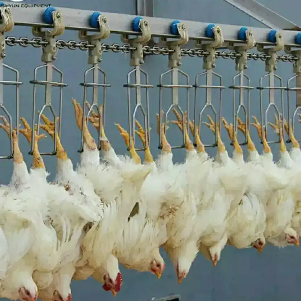 TUKANG AYAM BONELESS FILLET RPA