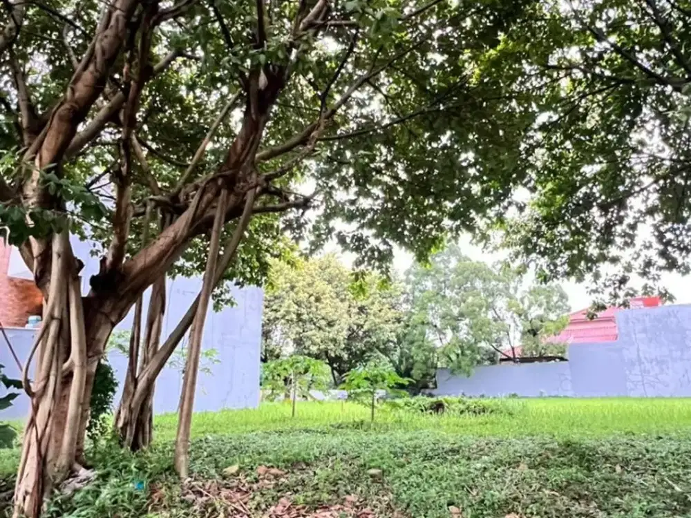 Kavling Kemang Bekasi Luas 242m² Strategis Siap Bangun