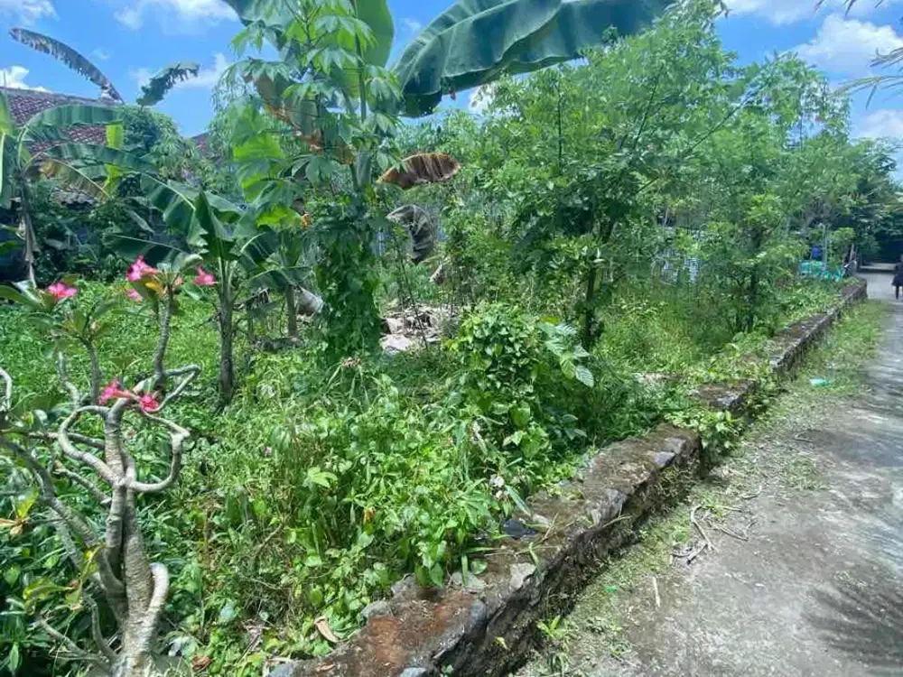 Dijual Tanah Murah SHM Pekarangan di Turi Tempel Sleman