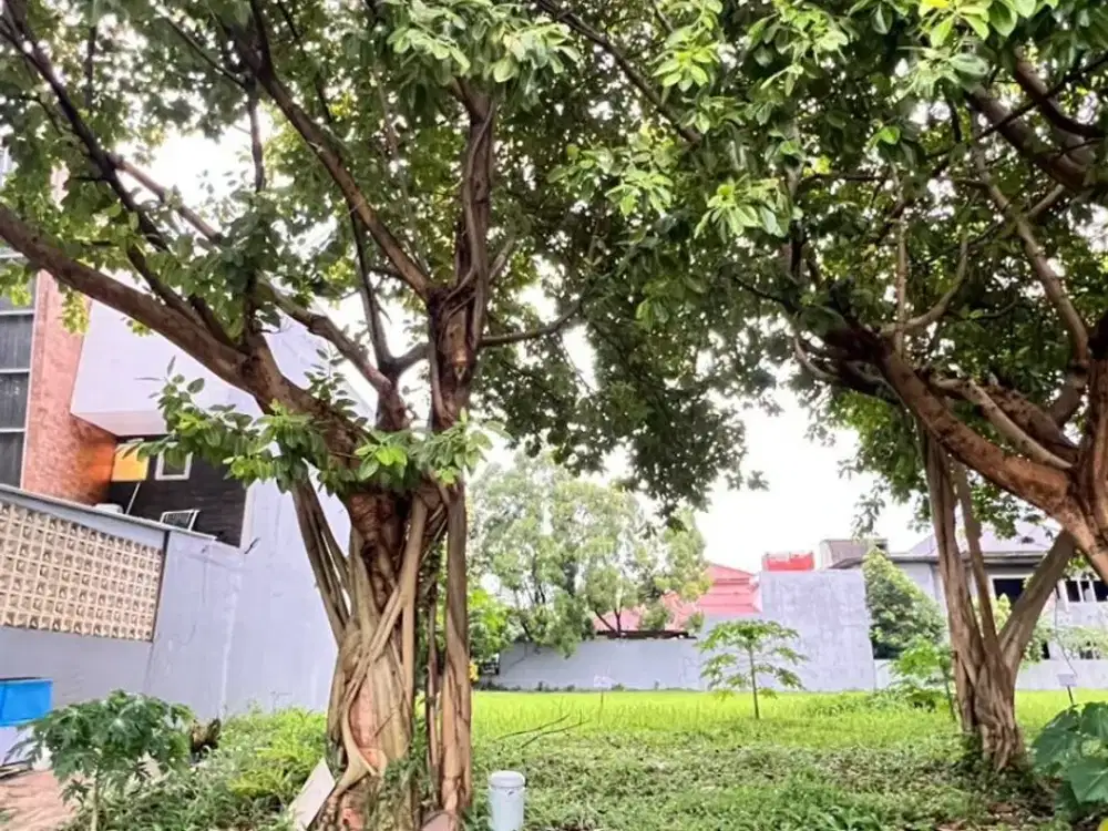 Kavling Strategis Kemang Bekasi Luas 242m² Siap Bangun