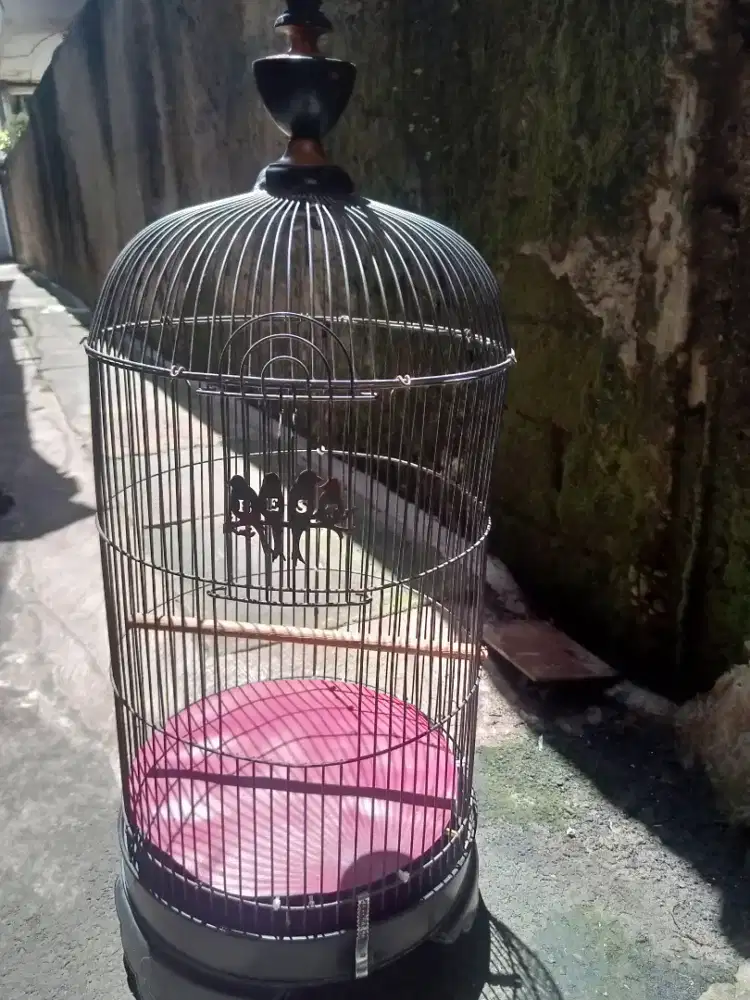 kandang burung Lovebird,kenari serta bucil.