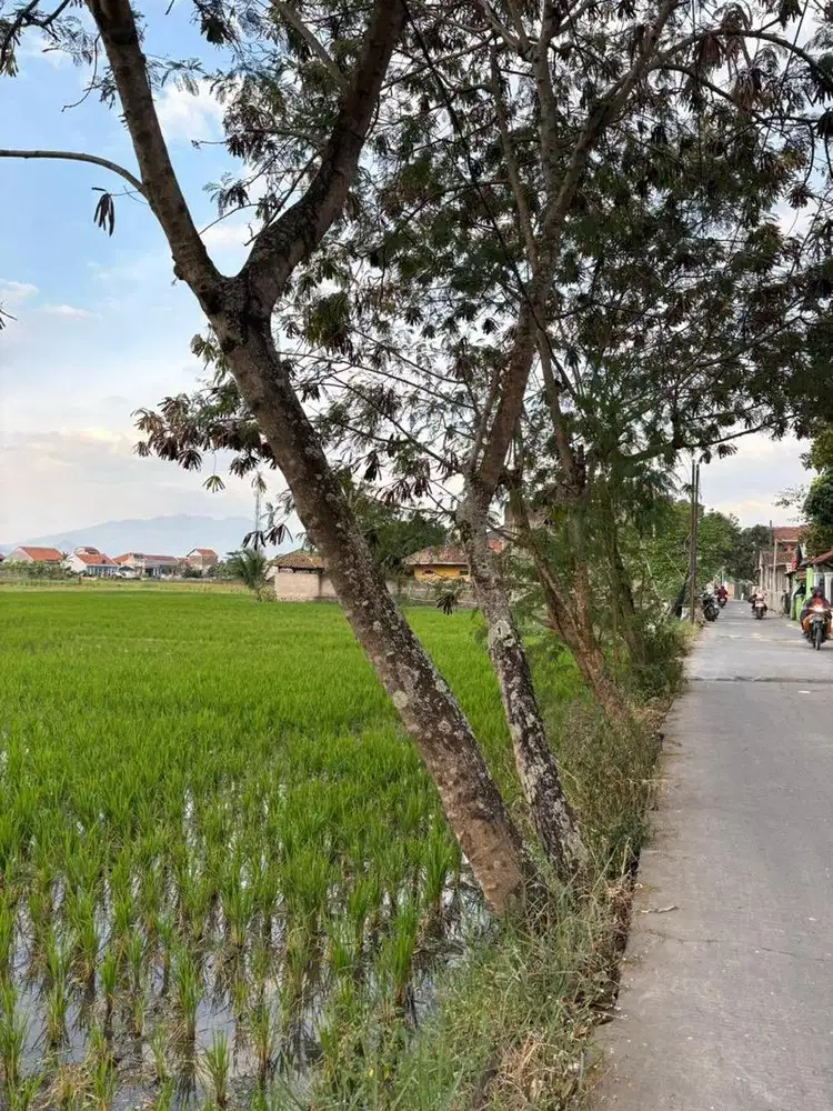 Dijual murah tanah SHM