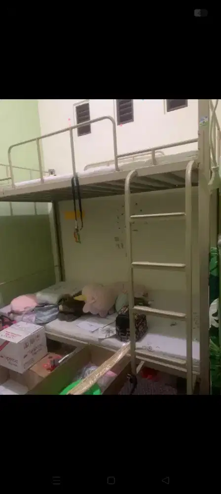 JUAL BUNKED BED DIPAN TEMPAT TIDUR INFORMA BARU BELI