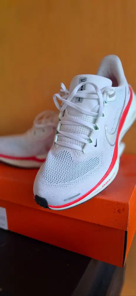 Nike pegasus running shoes