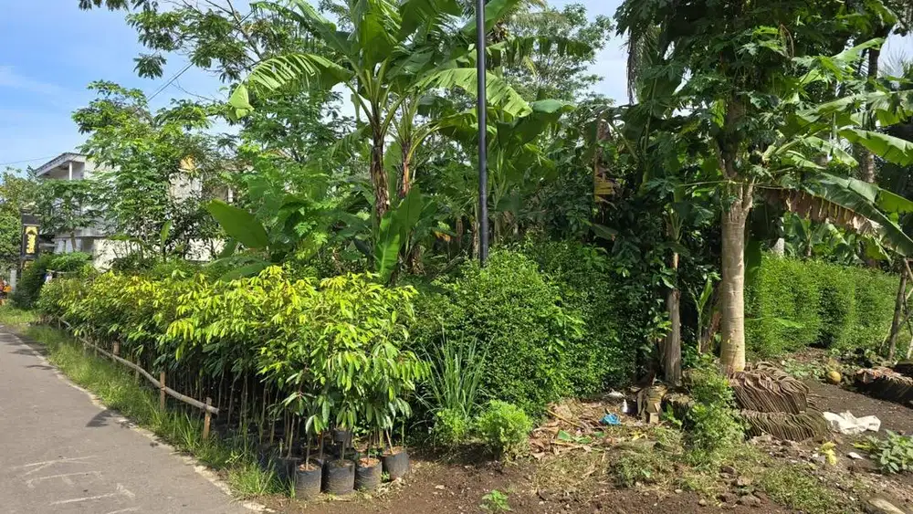 Tanah Dekat Borobudur