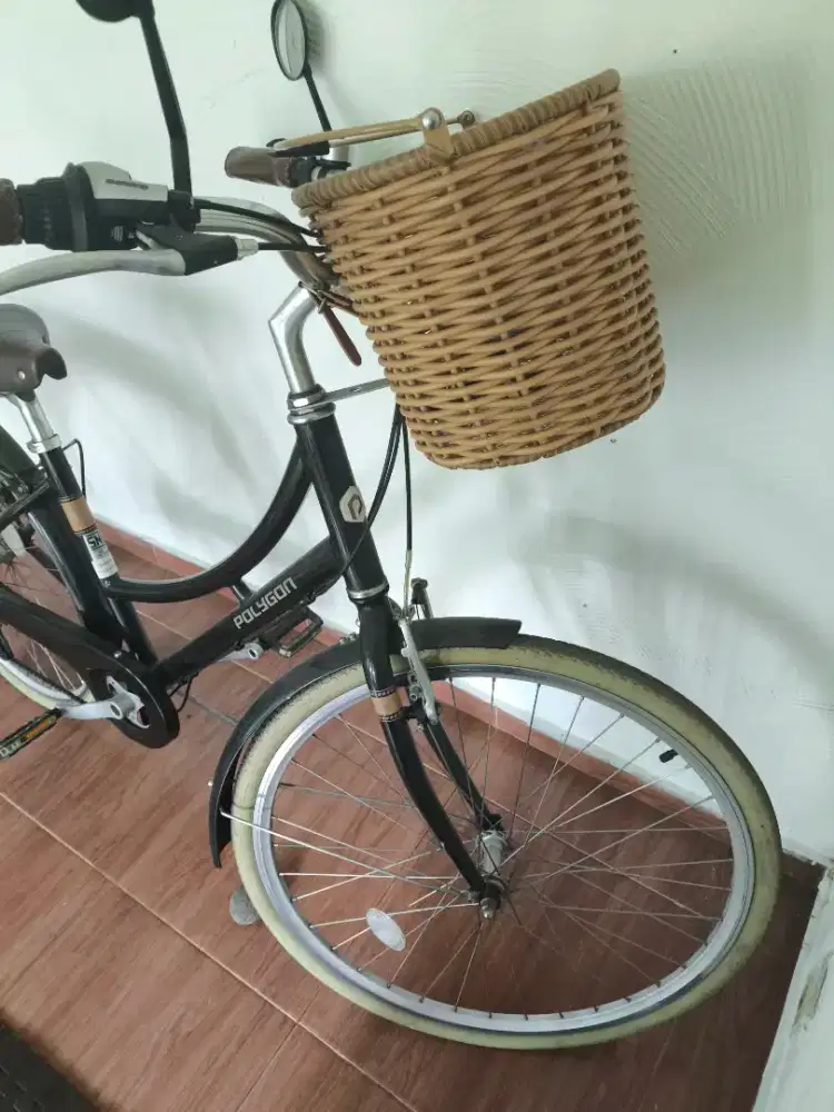 Polygon Oosten plus keranjang