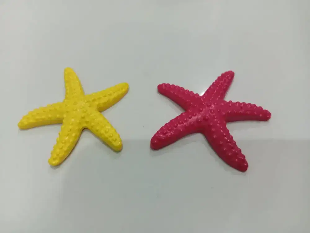 Bintang laut warna warni