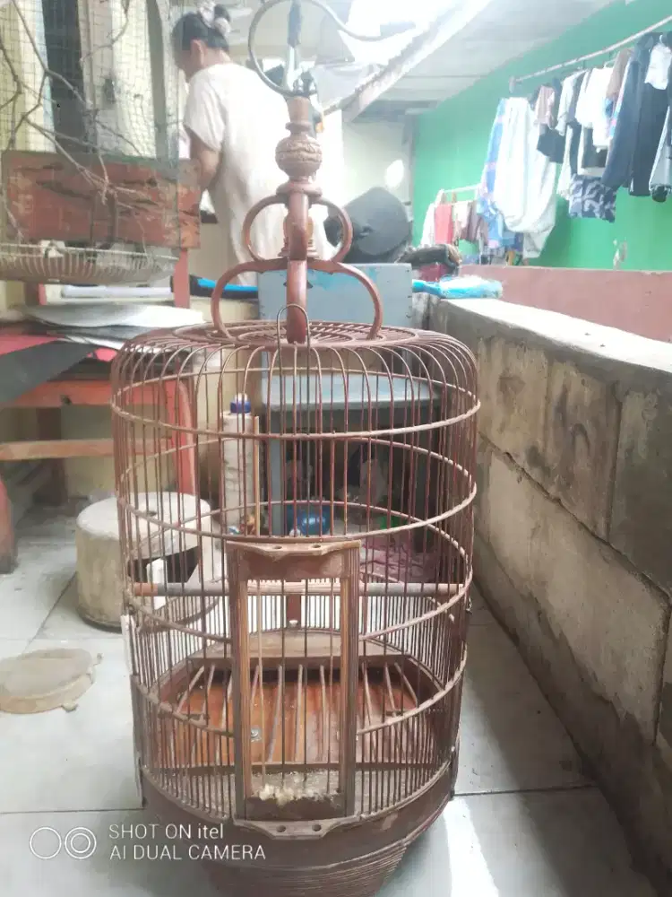 Kandang ANIS masih OK di BSD