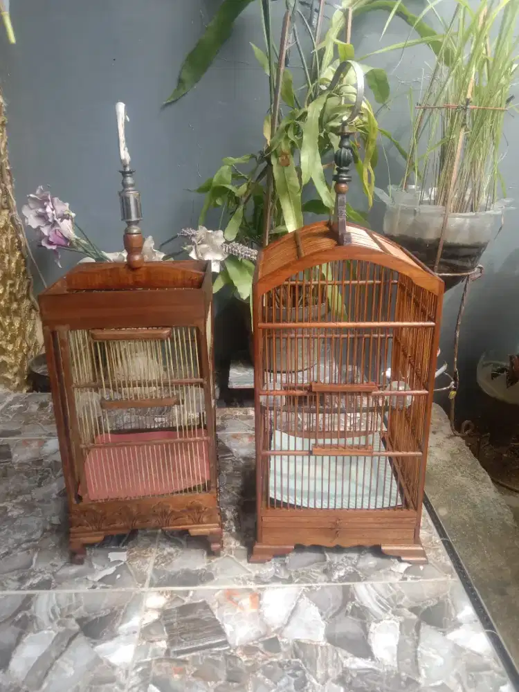 kandang burung kecil