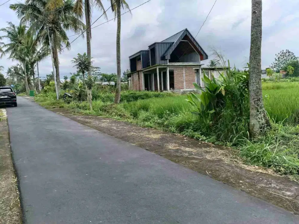 Dijual segera tanah murah  cantik view sawah