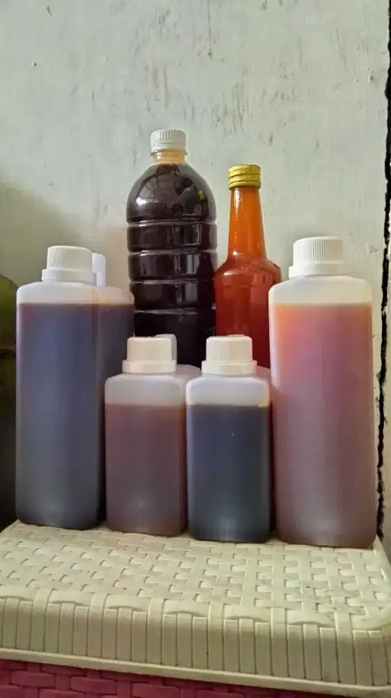 Madu hutan klanceng dan tawon